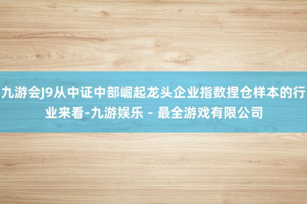 九游会J9从中证中部崛起龙头企业指数捏仓样本的行业来看-九游娱乐 - 最全游戏有限公司